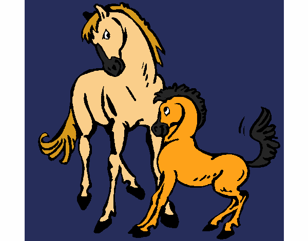 Cavalls 