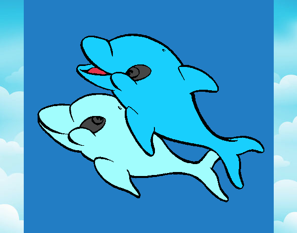 dofins marins