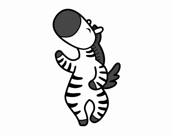 Zebra ballant