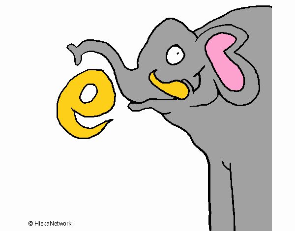 Elefant 7