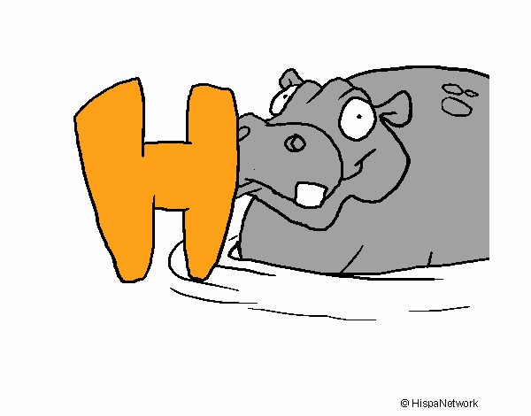 Hipopòtam