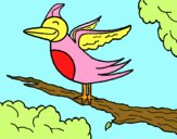 Ocell en arbre