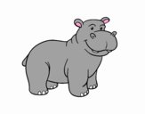 Un hipopòtam africà