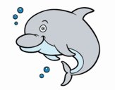 Dofí de l'Amazones
