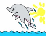 Dofí simpàtic