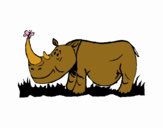 Rinoceront i Papallona